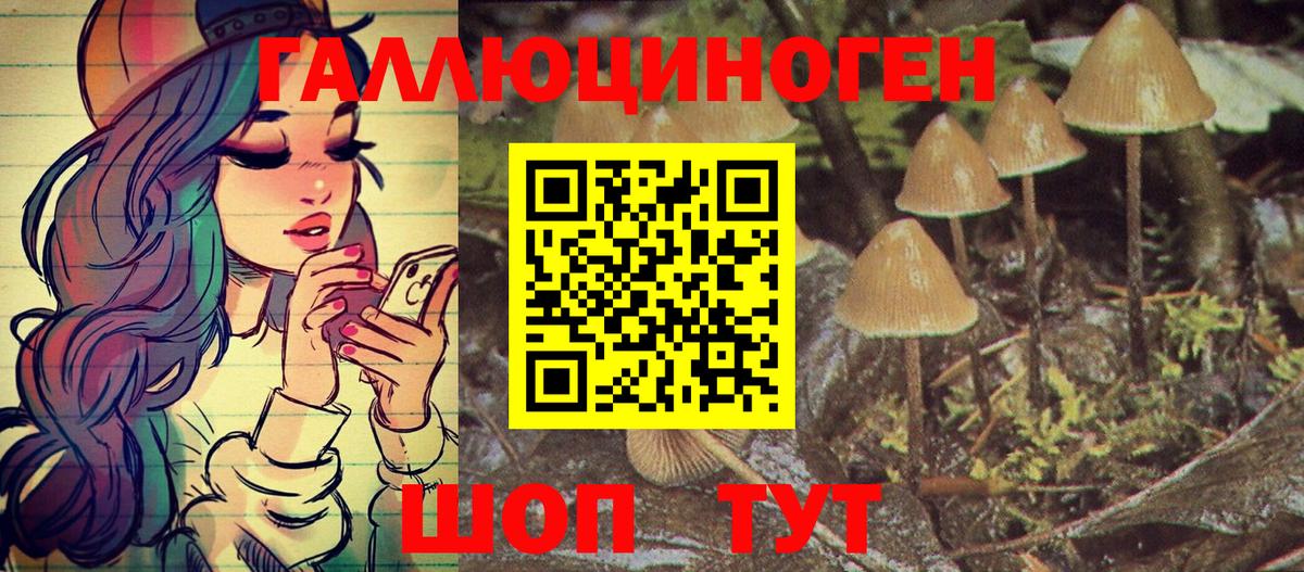 Приморско-Ахтарск  Галлюциногенные грибы Psilocybine cubensis  Вход с VPN  Псилоцибиновые грибы GOLDEN TEACHER 